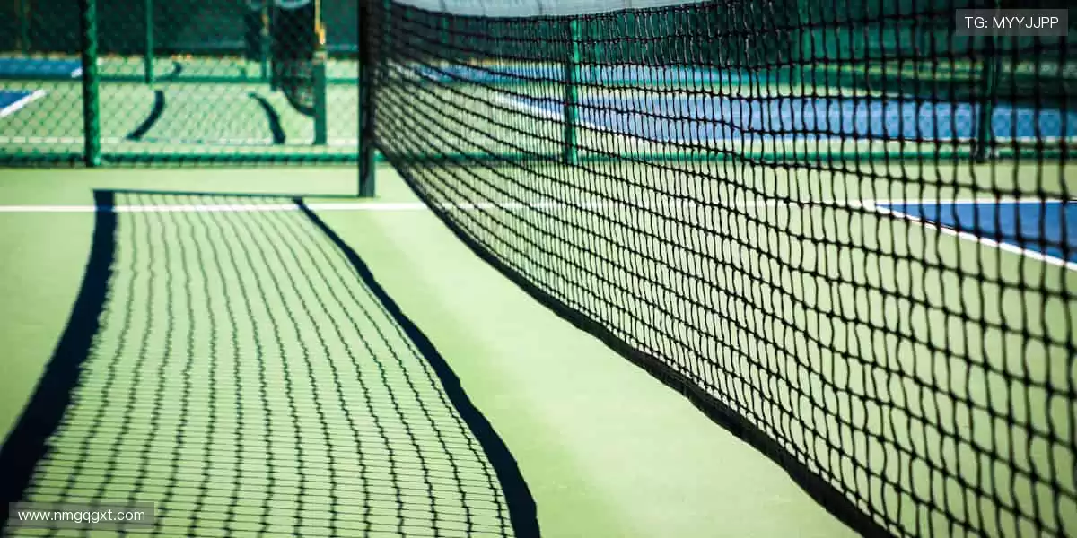 🎯精准数据,深度解析赛事背后的故事!